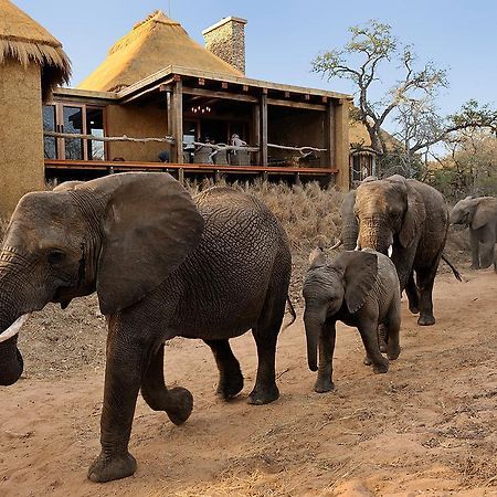 Jabulani Safari Villa Kapama Game Reserve Kültér fotó
