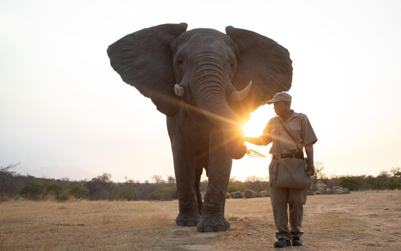 Jabulani Safari Villa Kapama Game Reserve Kültér fotó