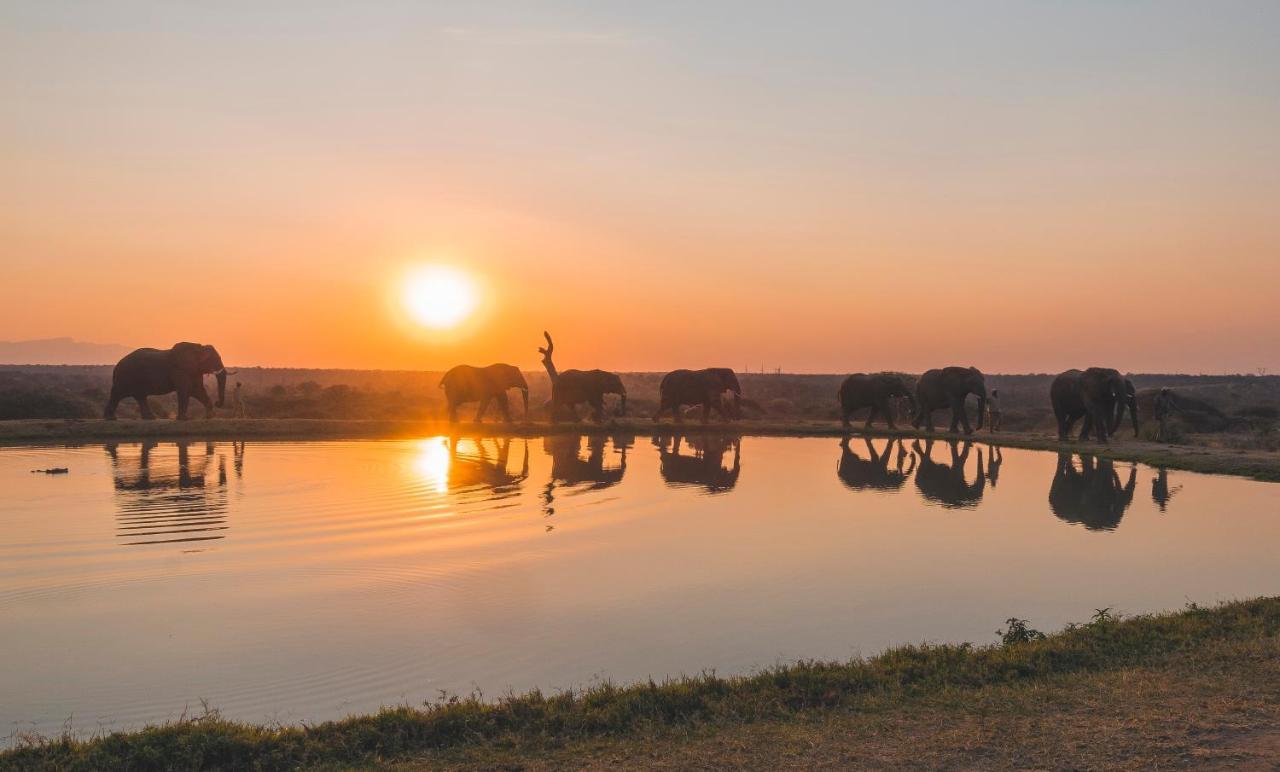 Jabulani Safari Villa Kapama Game Reserve Kültér fotó