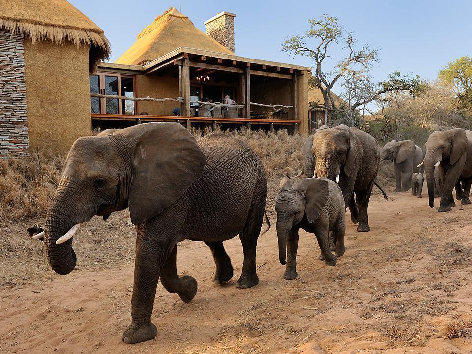 Jabulani Safari Villa Kapama Game Reserve Kültér fotó